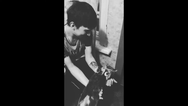 Изгнание ДЬЯВОЛА из КОШКИ 18+ смотреть онлайн