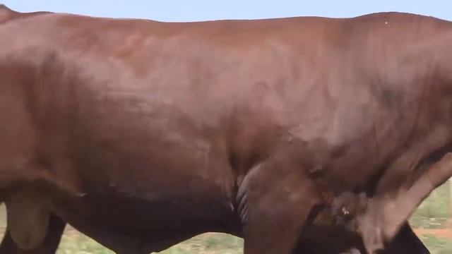 Lote 116 Changan da 3G FIV GGG 2656 Copy смотреть онлайн