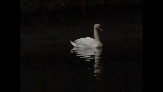 Теберда 10 марта 2018 смотреть онлайн