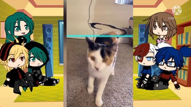 Bnha react to dekus pet| tiktok compilation| part 1 смотреть онлайн