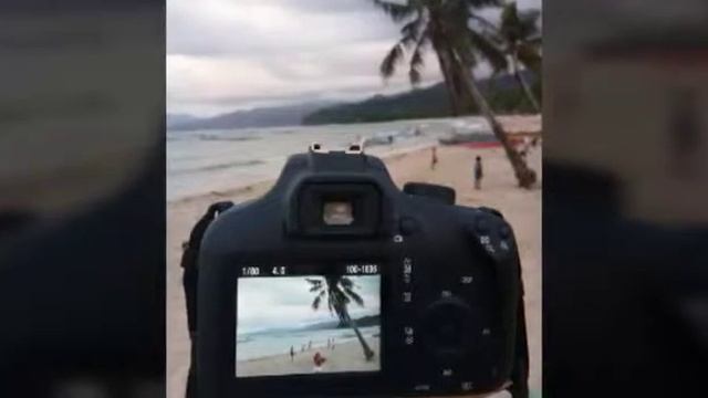Palawan Days смотреть онлайн