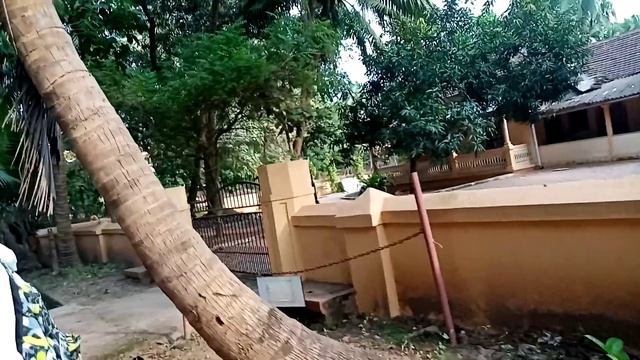 Индия Гоа Маджорда / выбираем разлетайку смотреть онлайн