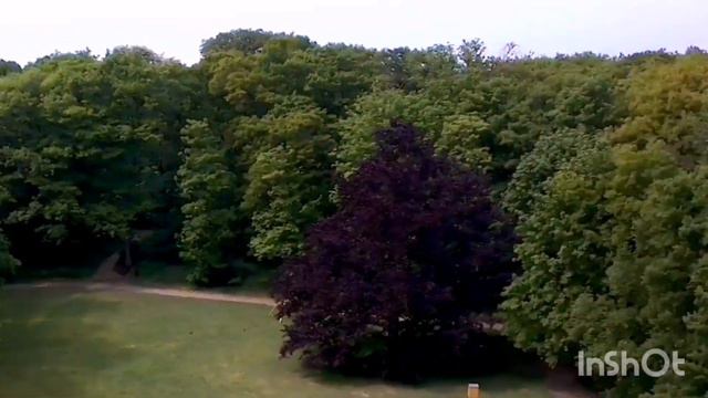 GPS Drone SG906 BEAST PRO very first flight ever смотреть онлайн