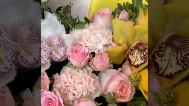 манго в шампанском .mov