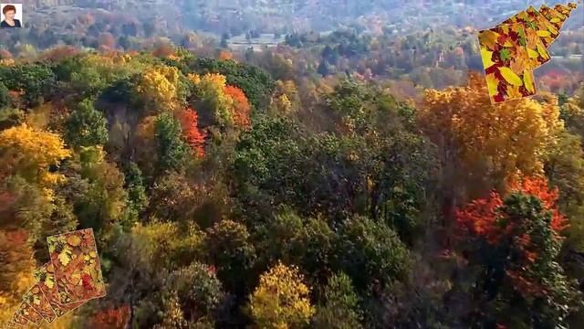 ПАДАЕТ ОСЕННЯЯ ЛИСТВА (Fall Foliage, Autumn Foliage)