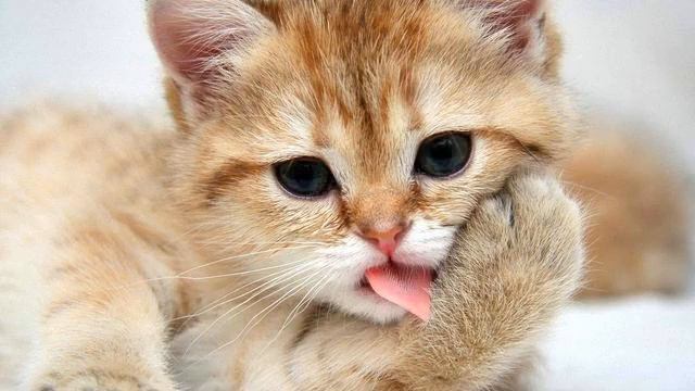 Музыка для презентации. Душевно! Как же она поет!!! смотреть онлайн