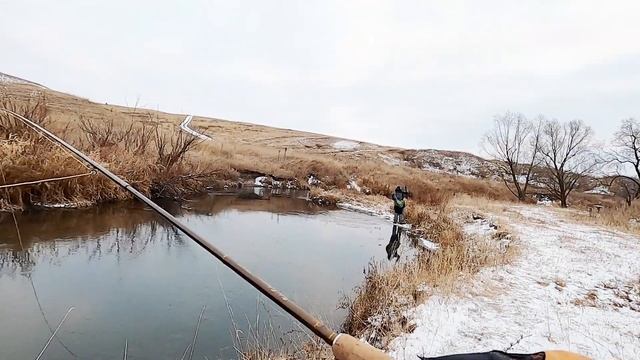 Где зимует хариус? смотреть онлайн