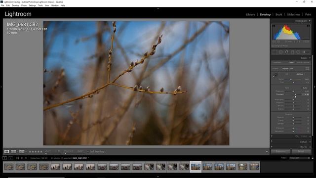 Super Marexar 135mm f/2.8 picture quality (full frame and APS-C) - BOKEH MONSTER for cheap! смотреть онлайн