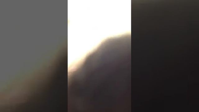 Стихи читает тая смотреть онлайн
