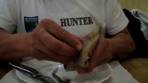 Как правильно чистить тарань :)