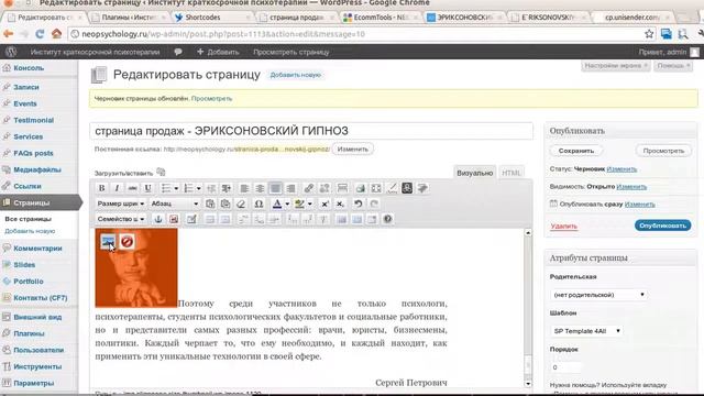 Страница продаж с использованием шоткодов от J Shortcodes смотреть онлайн