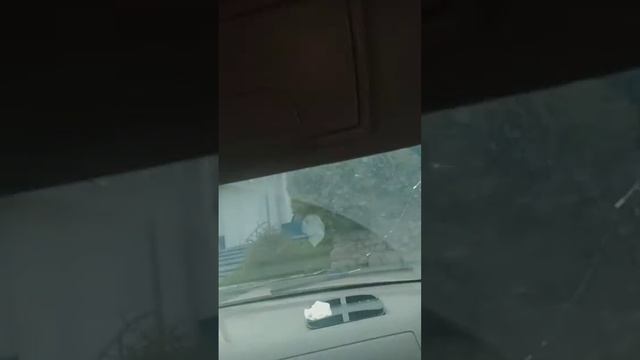 показываю обзор на машину Kia Rio смотреть онлайн