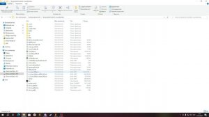 Ошибка при установке модов в RESIDENT EVIL 4 REMAKE(пиратка)
