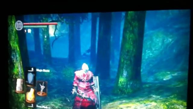 dark souls cat tip смотреть онлайн