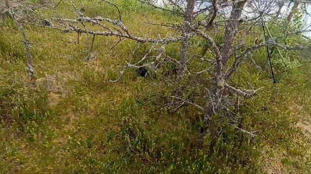 ДОСТАЛ СВОЙ ТЕЛЕФОН ИЗ ВОДЫ смотреть онлайн