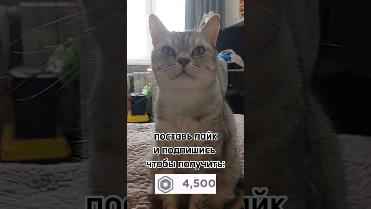 пиши ник в коментах смотреть онлайн