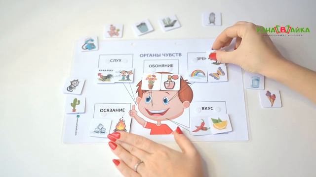 Органы чувств смотреть онлайн