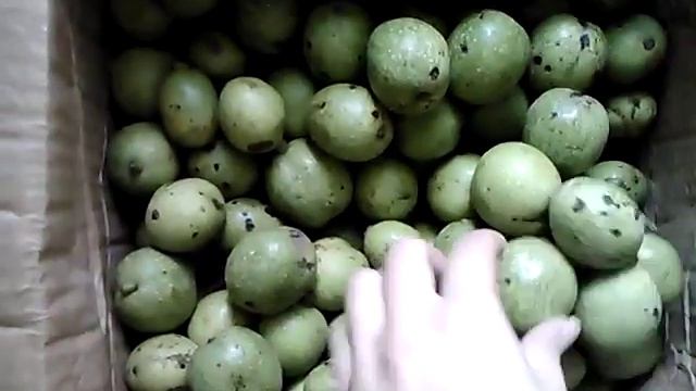 Молодые зеленые грецкие орехи смотреть онлайн