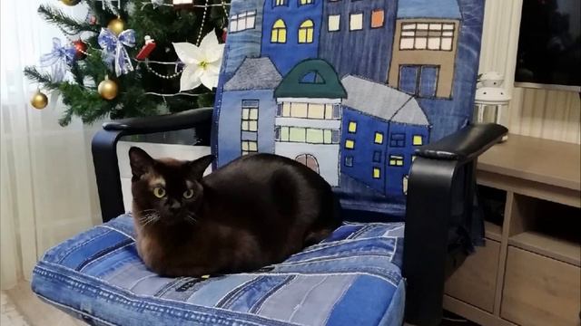 Яркие работы Лидии Удоевой из города Отрадный смотреть онлайн