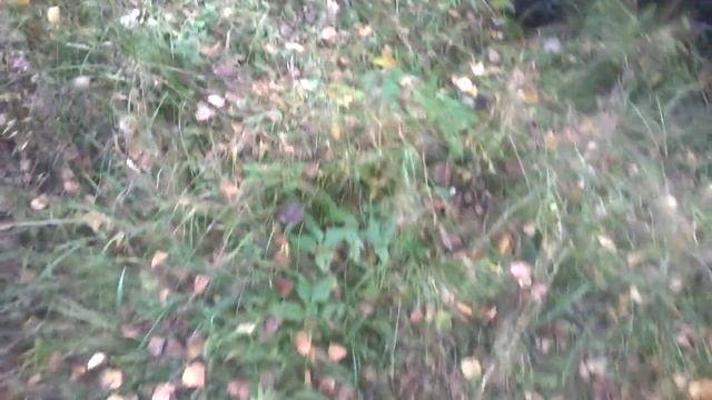 своими руками Иж модифицированный смотреть онлайн