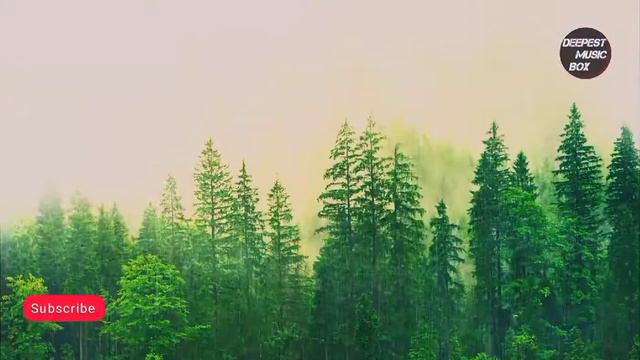 Cooper Cannell Relexing Music | Deepest Music Box смотреть онлайн