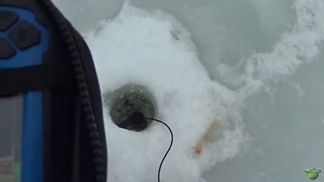 Активный клев судака на вибы. Вибы на судака.