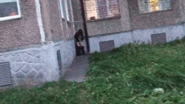 Засранец обосрал весь угол дома у всех на глазах вгороде Прокопьевске,недобежала до кустов fucked u смотреть онлайн
