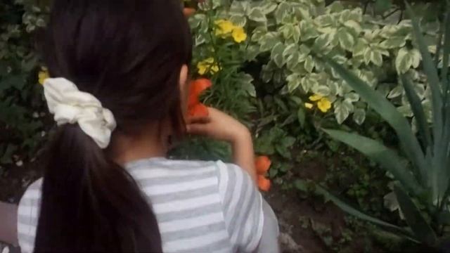 Манекен челендж\Класс!!! смотреть онлайн