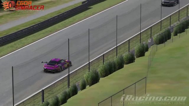 Сколько я потратил в IRacing за год?