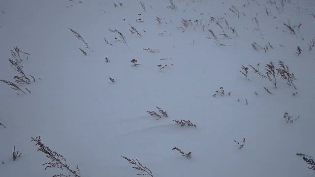 Ориентирование на местности в зимний период. Открытые пространства. Часть 2 смотреть онлайн
