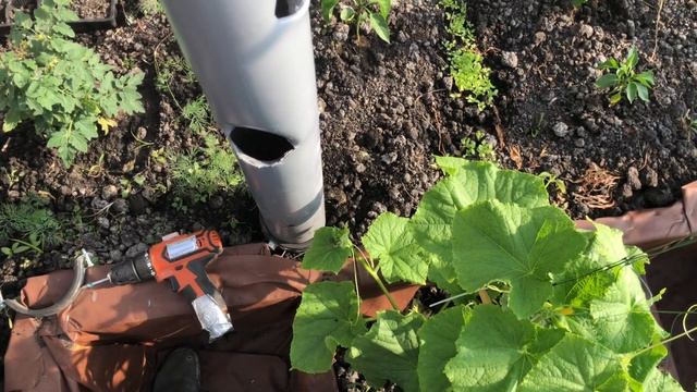 Вечная и дешевая грядка из канализационных труб. Клубника в вертикальной трубе. Все гениально прост смотреть онлайн