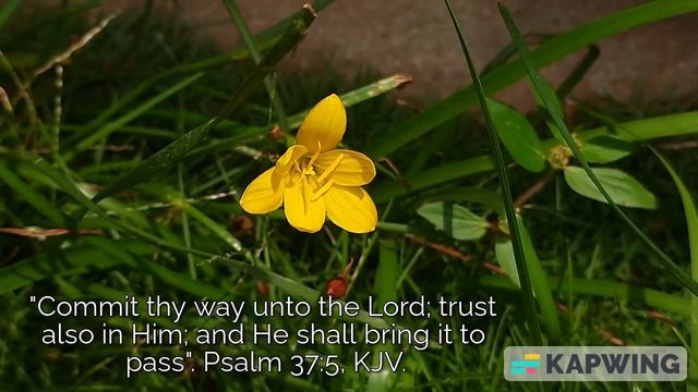 Commit your way unto the Lord. Psalm 37:5, KJV. смотреть онлайн