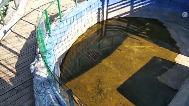 Контактный зоопарк "Мадагаскар" в Джубге ~АЛИСА~ смотреть онлайн