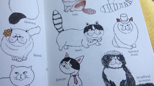 КНИГИ: Котюрморт! Как рисовать котиков? смотреть онлайн