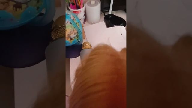 Как правильно расчесать волосы смотреть онлайн