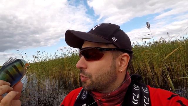 NEW Megabass 2019! Первое знакомство с огромными Megadog и Swimbait Vatalion 190