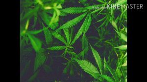 Блатной удар_мама mp3