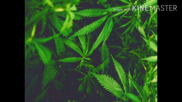 Блатной удар_мама mp3