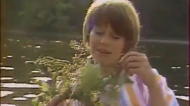 Наталья Рожкова-" Ах эти Дачные Романы, Ах эти Дачные Романы...17 лет, 17 лет..." смотреть онлайн