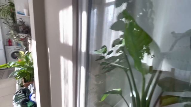 ‼️ВСЕ В САД!?ТУРЦИЯ АНТАЛИЯ смотреть онлайн