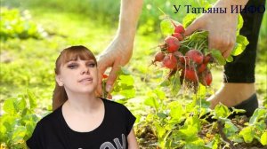 Что посадить с редисом на одной грядке?!