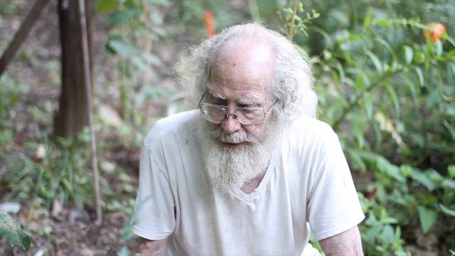 Lobelia inflata смотреть онлайн