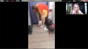 Влог Как воспитывать мальтезе правильно