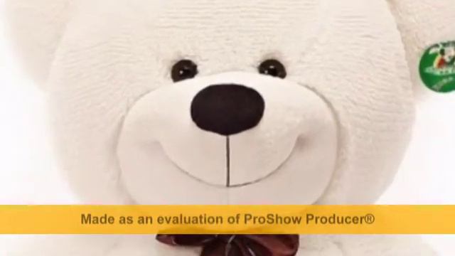 Teddy Bear's nose ))) смотреть онлайн