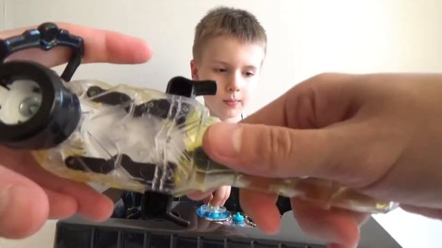 АЛЫЙ ВОЛК. ГИГАНТСКИЙ ПИТОН. ЯРОСТНЫЙ ЦЕРБЕР. ИНФИНИТИ НАДО. УСТИН РАСПАКОВЫВАЕТ НОВЫЕ ВОЛЧКИ. 13+ смотреть онлайн