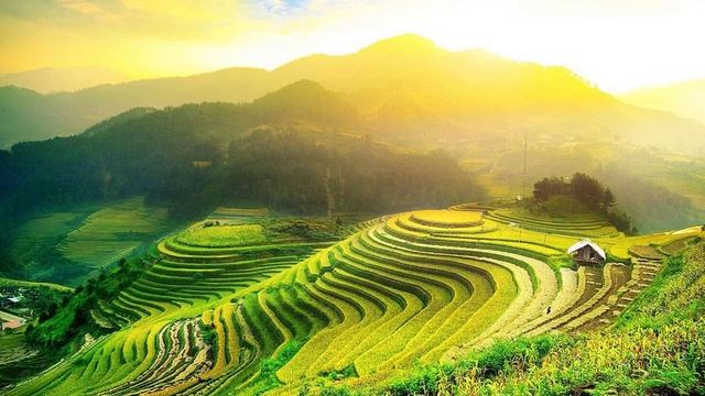 Sleep Music Beautiful Sleep Music For Stress Relief - My Music Live #5