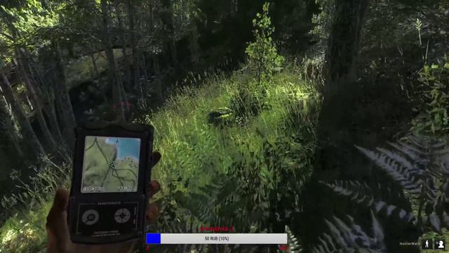 theHunter - соревнования - койоты смотреть онлайн