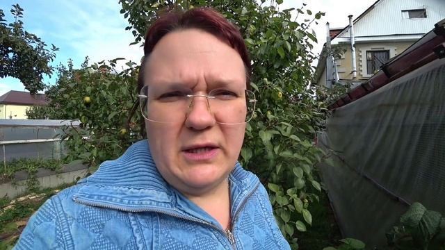 Осенний уход за яблоней и грушей смотреть онлайн