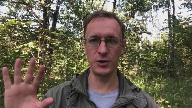 Почему МВФ дал России 18 миллиардов?