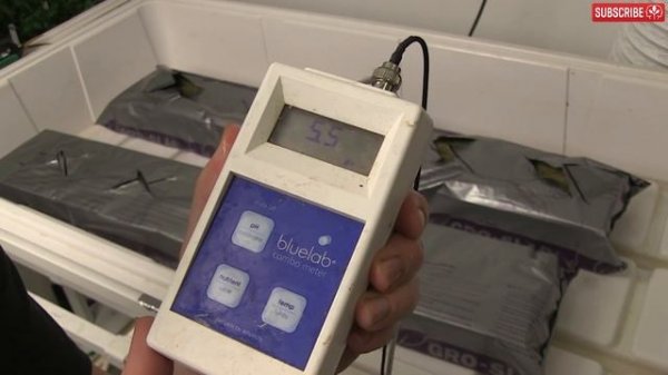 Hydroponics with Stonewool / Rockwool Slabs 101